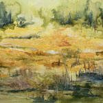 Sommerwiese, Tusche<br/>39x49cm, 2022