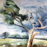 Windflüchter, Aquarell  <br/> 36x48cm, 2018