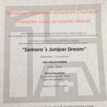 Somora`s Juniper Dream N/hu Schweizer Veteranen-Schönheits-Champion...20.11.2022