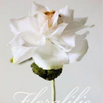 Wafer Paper Rose | Floralilie Sugar Art