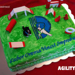 torta agillity dog