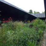 The 2011 temporary pavilion by Peter Zumthor, with a garden by Piet Oudolf