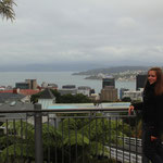 Ausblick über Wellington.