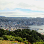 Ausblick über Wellington von Mt. Victoria.