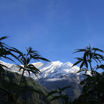 Cannabis in Nepal