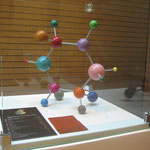 Moleküle