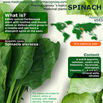 Spinach