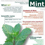 Mint benefits