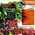 Coffee benefits infographic