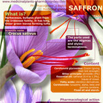 Saffron benefits infographic