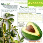 Avocado healt benefits