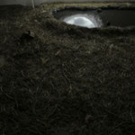 記憶のアポトーシス（2013,ATLAS展）