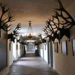 Im Jagdschloss Kranichstein (Foto: Erich Hohn)