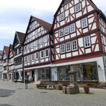 Frühlingsfahrt ins Frau-Holle-Land (Foto: Erich Hohn)