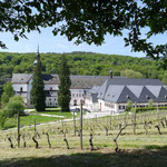 Frühlingsfahrt in den Rheingau (Foto: Erich Hohn)