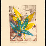 Blue and Yellow leaves 2 litho/mono print