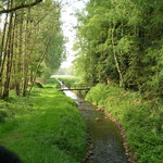 Der Hombach