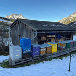 31. Oktober: Bienenstand winterfest machen am Omesberg: Zaunabbau, Waagen demontieren...