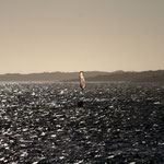 Olli in Langebaan
