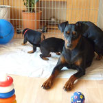Mama Geeva ist sichtlich stolz auf ihre "Babys"