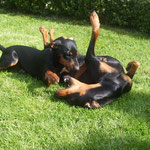 Sally und Geeva beim Spielen
