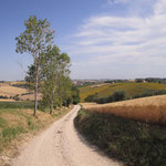 Strada d'accesso