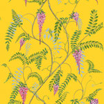 Wisteria - yellow