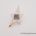 Pins Angel Expert