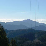 ここから見える丹沢大山