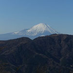 富士山が綺麗でした