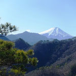 バッチリ富士山が