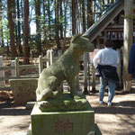 宝登山神社の奥宮、狛犬は狼