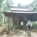 青渭神社が祀られている