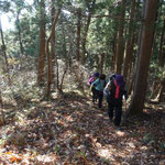 落ち葉を踏みしめ登ります