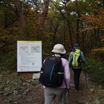 9：25登山口出発