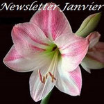News Janvier