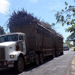 Lastwagen mit Zuckerrohr beladen