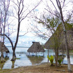 Ufer vom Lago de Peten Itza