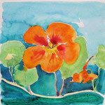 Brunnenkresse, Aquarell 30x30 cm , 300 Fr., verkauft