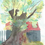 Kastanienbaum in Tessin, Aquarell 19x22,5 cm