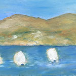„weisse Segel"   50 x 100  (305)   (1)