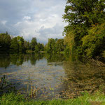 Fischerteich in Saulgau