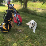 Golfrunde auf Rügen