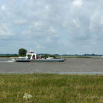 Elbe Überfahrt mit der Fähre