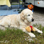 Winnie Pooh durfte auch mit