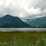 Walchsee