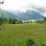 Walchsee