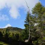 Lenzerheide