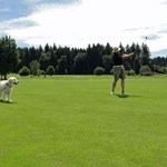 Golfspiel in Saulgau