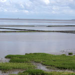 Das Watenmeer am Norddeich in Ostfriesland